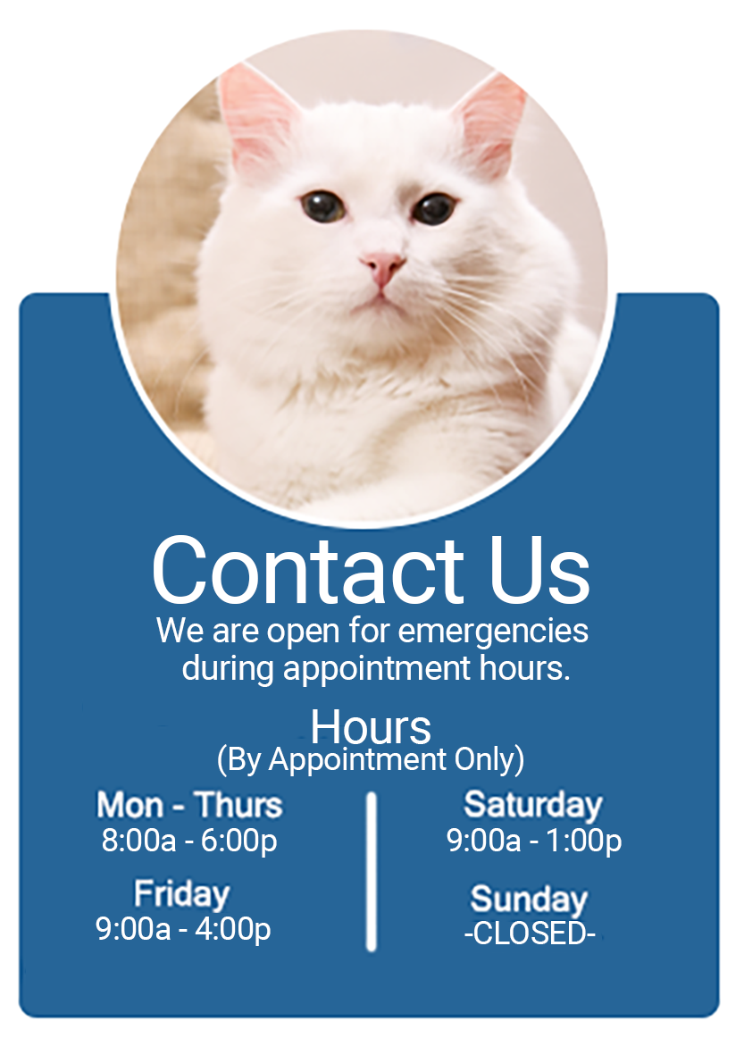 Indian Springs Veterinary Clinic Indiana, PA Contact Us